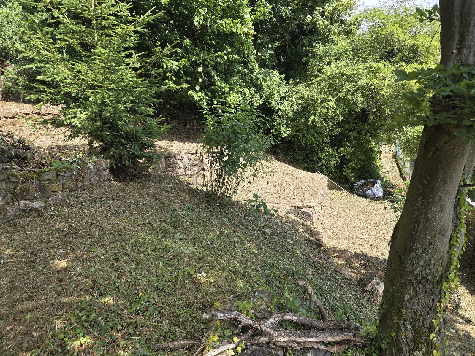 Freigeschnittener Hang mit gepflegter Wiese
